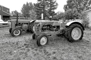 _DSF8386 copy_DxOVP.jpg