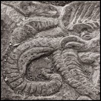 _36A2559_DxO copy.jpg