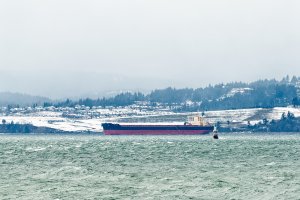 _36A2937_DxO copy.jpg