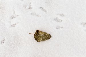 _MG_8614_DxO copy.jpg