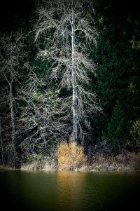 _36A2722_DxO copy.jpg