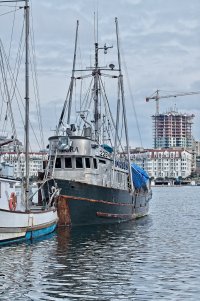 Commercial fishing boat.jpg