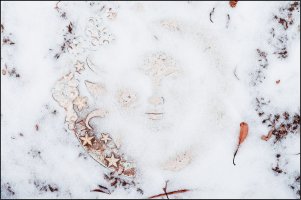 Fence plaque in snow 2.jpg