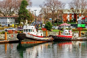 _MG_5325_DxO copy.jpg