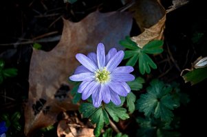 EmptyName 10 copy.jpg