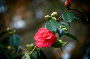 EmptyName 8 copy.jpg