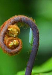 DSC_8658_original -crop Me2_DxO.jpg