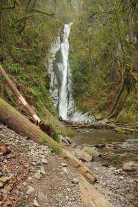 Niagara Falls, Goldstream PP, Victoria BC.jpg