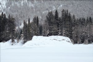 _DSF4073Copyright Douglas Chisholm copy.jpg