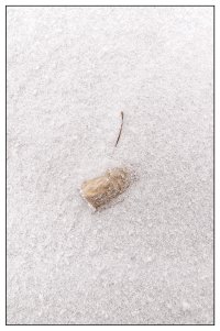 _36A0590_DxO copy.jpg