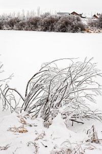 _MG_8714 copy_DxO copy.jpg