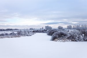 _MG_8710 copy_DxO copy.jpg