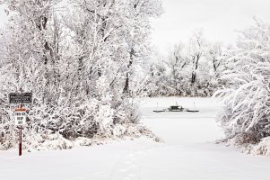 _MG_8702 copy_DxO copy.jpg