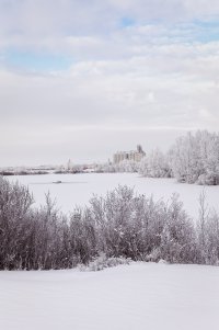 _MG_8699 copy_DxO.jpg