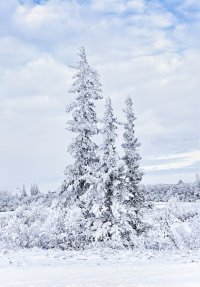 _MG_8693 copy_DxO copy.jpg