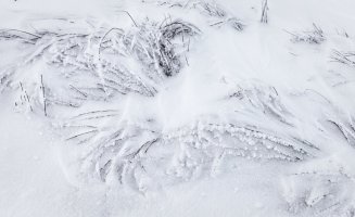 _MG_8691 copy_DxO copy.jpg