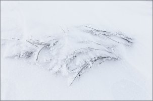 _MG_8690 copy_DxO copy.jpg