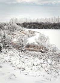 _MG_8673 copy_DxO copy.jpg