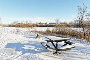 _36A0643_DxO copy.jpg