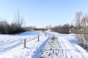 _36A0638_DxO copy.jpg