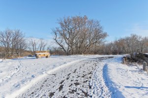 _36A0630_DxO copy.jpg