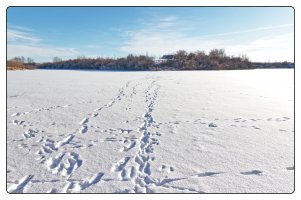 _36A0603_DxO copy.jpg