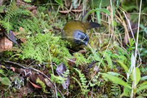 20180731-4G4A4878 resized.jpg