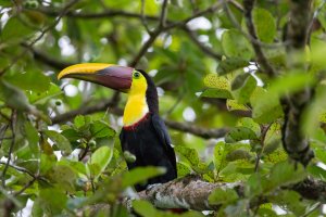 20180801-4G4A5825 resized.jpg