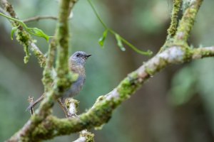 20180730-4G4A4307 resized.jpg