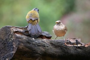 20180730-4G4A4217 resized-2.jpg