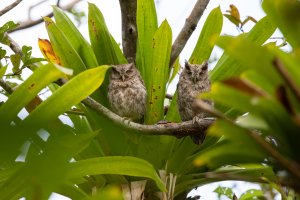 20180726-425A5531 resized-2.jpg