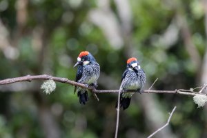 20180731-4G4A5400 resized-2.jpg