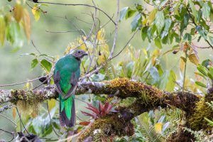 20180730-425A7133 resized.jpg