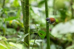 20180724-425A4393 resized.jpg