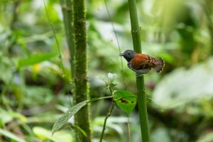 20180724-425A4420 resized-2.jpg