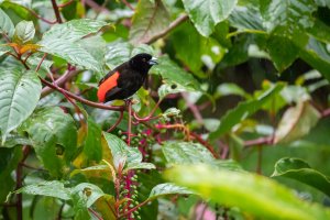 20180726-425A4959 resized.jpg