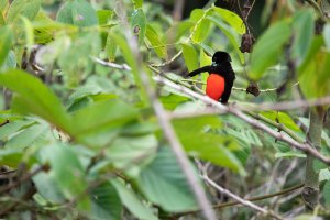 20180726-425A5576 resized.jpg