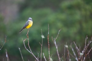 20180726-425A5987 resized.jpg