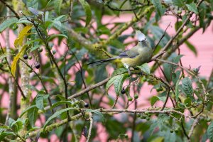 20180730-4G4A4688 resized.jpg