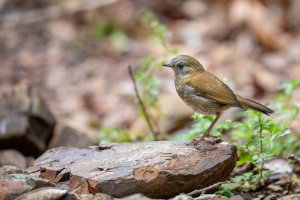 20180731-4G4A5324 resized.jpg