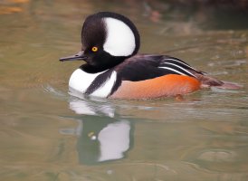 web_A9I7871.JPG web_A9I7871.JPG