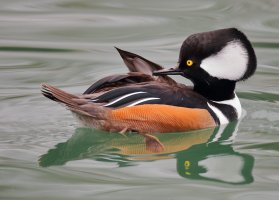 web_A9I7576.JPG web_A9I7576.JPG