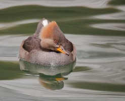 web_A9I7617.JPG web_A9I7617.JPG