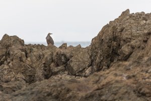 20180802-4G4A6785 resized.jpg