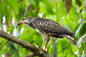 20180802-4G4A6499 resized-2.jpg