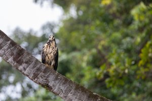 20180802-4G4A6695 resized.jpg