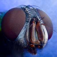 44593B7D-E16A-4602-B9CE-47AC490BCE07.jpeg 44593B7D-E16A-4602-B9CE-47AC490BCE07.jpeg