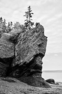 IMG_5325Adox CMS 20 film simulation.jpg