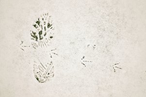 Museum 12 copy_Snapseed.jpg