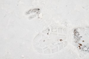 Man and deer crossing copy.jpg